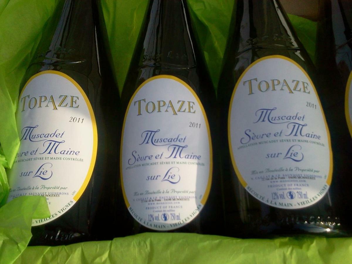 Topaze Sejour Chez Le Vigneron Monnieres  Bagian luar foto